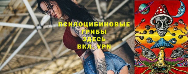 сатива Алексин